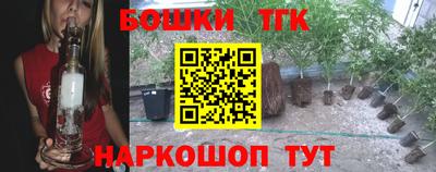 стаф Бузулук